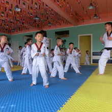 義烏市尚揚跆拳道館