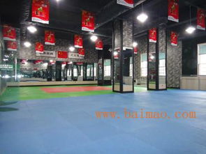 蘭州雁灘少兒跆拳道培訓館,蘭州跆拳道, 蘭州跆拳道館,蘭州跆拳道培訓,蘭州跆拳道培訓館,蘭州雁灘少兒跆拳道培訓館,蘭州跆拳道, 蘭州跆拳道館,蘭州跆拳道培訓,蘭州跆拳道培訓館生產廠家