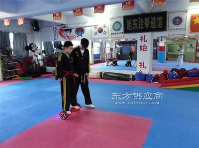 威海漂移車,漂移車招商,山東鶻鷹智能價格