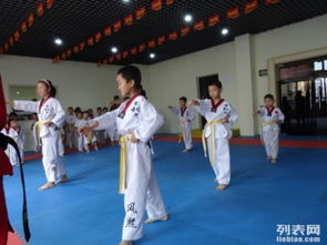 圖 鳳天精品跆拳道教育免費預約試訓 成都文體培訓