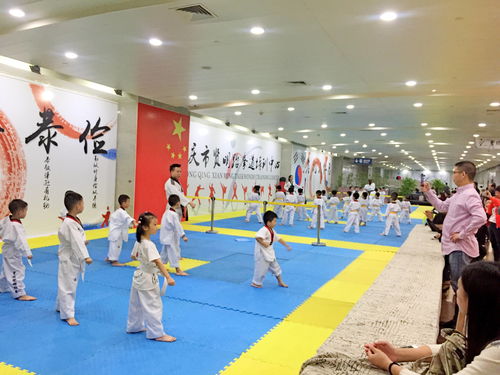 重慶專業(yè)韓式跆拳道館