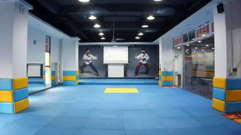 多家媒體報道采訪,厚街跆拳道第一品牌原來在這里,一起感受最專業(yè)的跆拳道