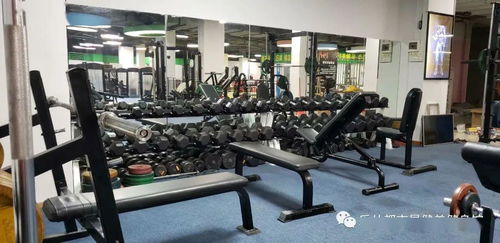 都市星健身 跆拳道館 試營業(yè)期 健身 跆拳道卡火熱搶購中.. 樂泰居店