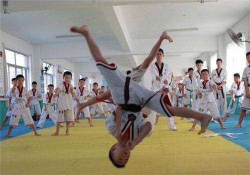 黃金跆拳道館加盟 加盟費 招商代理條件 加盟電話 中教招商網