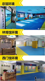 恭喜鵬山跆拳道館 接受汕尾電視臺的現場采訪