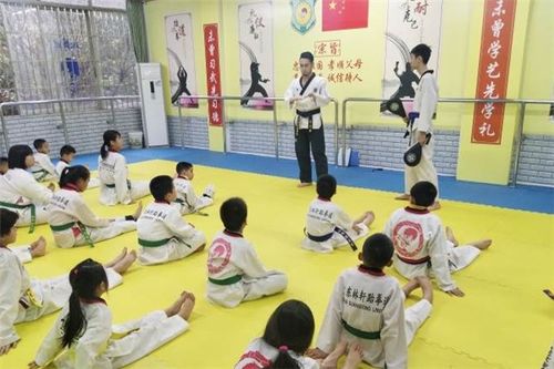 林軒跆拳道館加盟優(yōu)勢(shì) 打造專業(yè)與品牌共贏的創(chuàng)業(yè)平臺(tái)