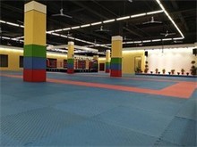 東莞運(yùn)動(dòng)健身館 跆拳道館的魅力與選擇指南