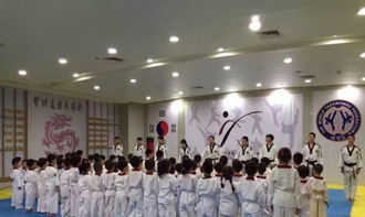 跆拳道可以自學嗎？報班費用與跆拳道館選擇指南