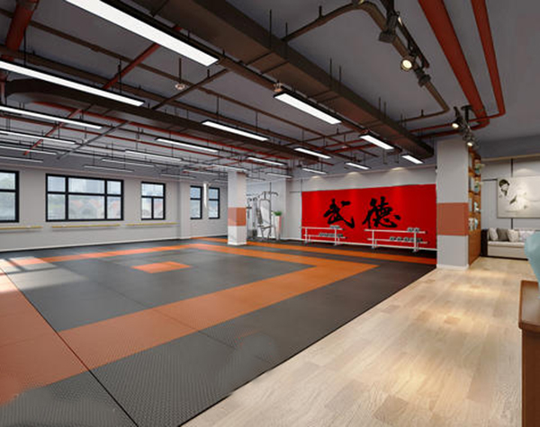 跆拳道館費概覽與影響分析