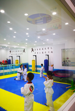 跆拳道館 力量、禮儀與成長的殿堂