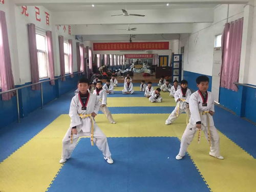 喜訊頻傳，熱烈祝賀崇文跆拳道館學(xué)員成功晉級！