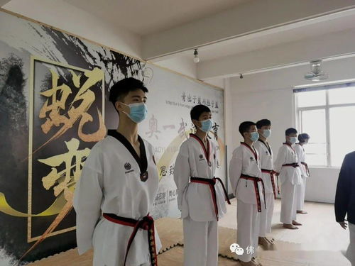 破繭成蝶，禮贊榮耀——祝賀明道匯跆拳道館學(xué)子榮升黑帶品位