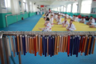 黃金跆拳道館 鏡頭下的力量與優(yōu)雅