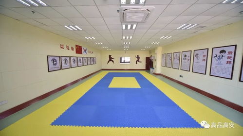 高安“兩宮兩館”內(nèi)部圖曝光，跆拳道館盡顯高端現(xiàn)代風(fēng)采