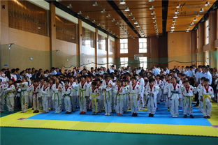 【精彩回顧】新武道跆拳道2017品勢館校賽暨首屆快腿王大賽圖片精選