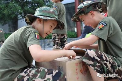 跆拳道館攜手教育平臺，2018精英少年夏令營全新升級啟航